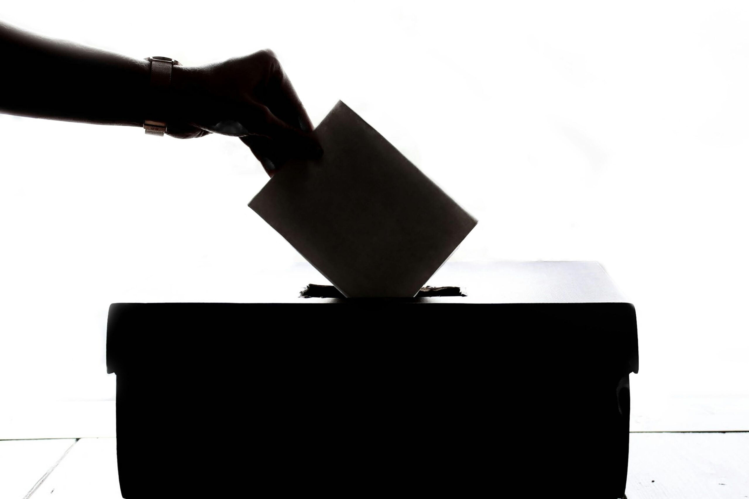 elecciones cuanto cobra un apoderado en las elecciones